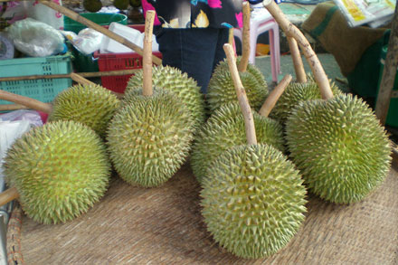 Durian gahn-yao