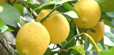 Итальянские лимоны